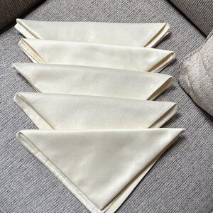 New Ambrosia Elegant Ivory Satin Napkins set of 5